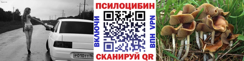Галлюциногенные грибы Psilocybe  KRAKEN   Коломна 